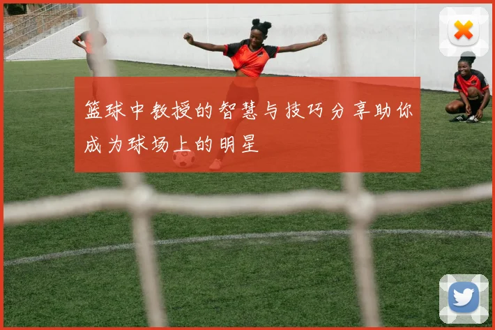 篮球中教授的智慧与技巧分享助你成为球场上的明星