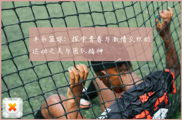 丰和篮球：探索青春与激情交织的运动之美与团队精神