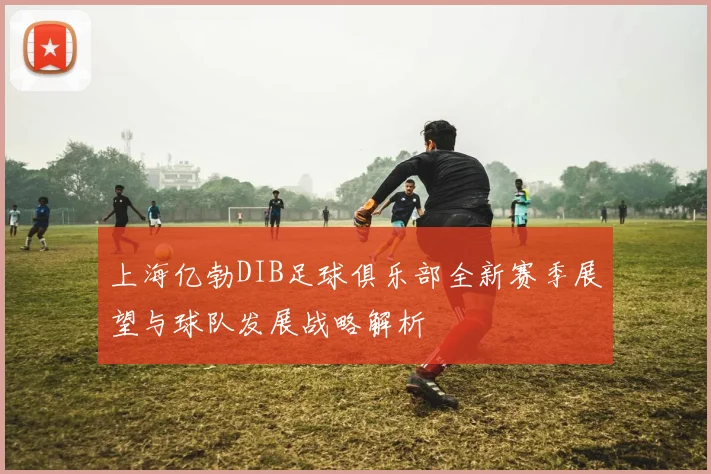 上海亿勃DIB足球俱乐部全新赛季展望与球队发展战略解析