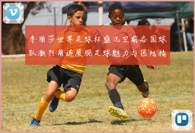 李丽莎世界足球杯盛况空前各国球队激烈角逐展现足球魅力与团结精神