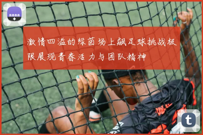激情四溢的绿茵场上飙足球挑战极限展现青春活力与团队精神